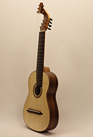 13saitige_Gitarre