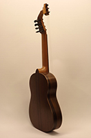 13saitige_Gitarre