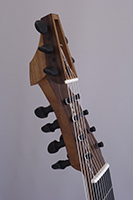 13saitige_Gitarre