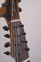 13saitige_Gitarre