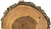holz