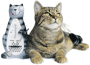 Katze Metronom Tiere