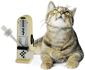 katze